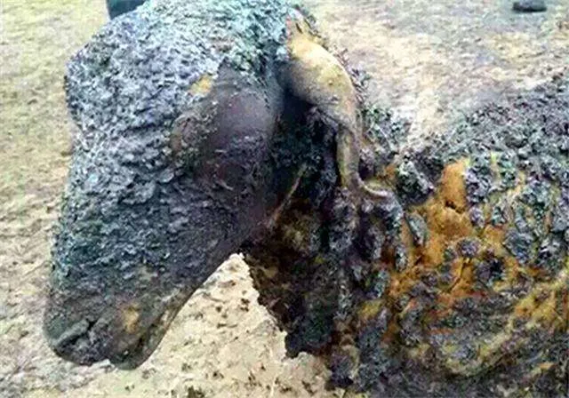 一道全国初中物理竞赛题! 很多中学生慌不择路做出最致命选择!-全国初中物理竞赛题汇总