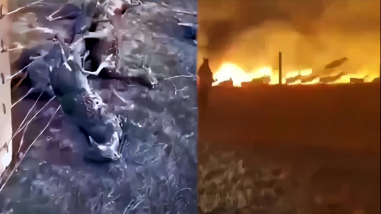 中蒙边境草原起火围栏挂满羊焦尸,为何不能把铁丝网打开呢?-中蒙边境自驾游最佳路线