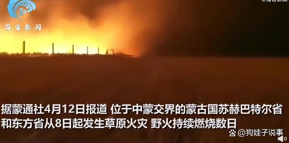 昨天美国死牛,今天中蒙边境草原起火 围栏挂满羊焦尸!-今天美国死亡病例是多少