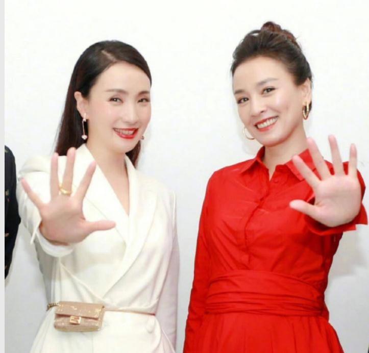 徐峥否认转移8亿资产逃往国外,同时也证明妻子陶虹的清白(徐峥和陶虹怎么好的)