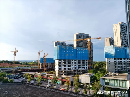 赣东小县一知名楼盘“烂尾”了,无视经济规律、冒进蛮干是主因-赣县城北规划图