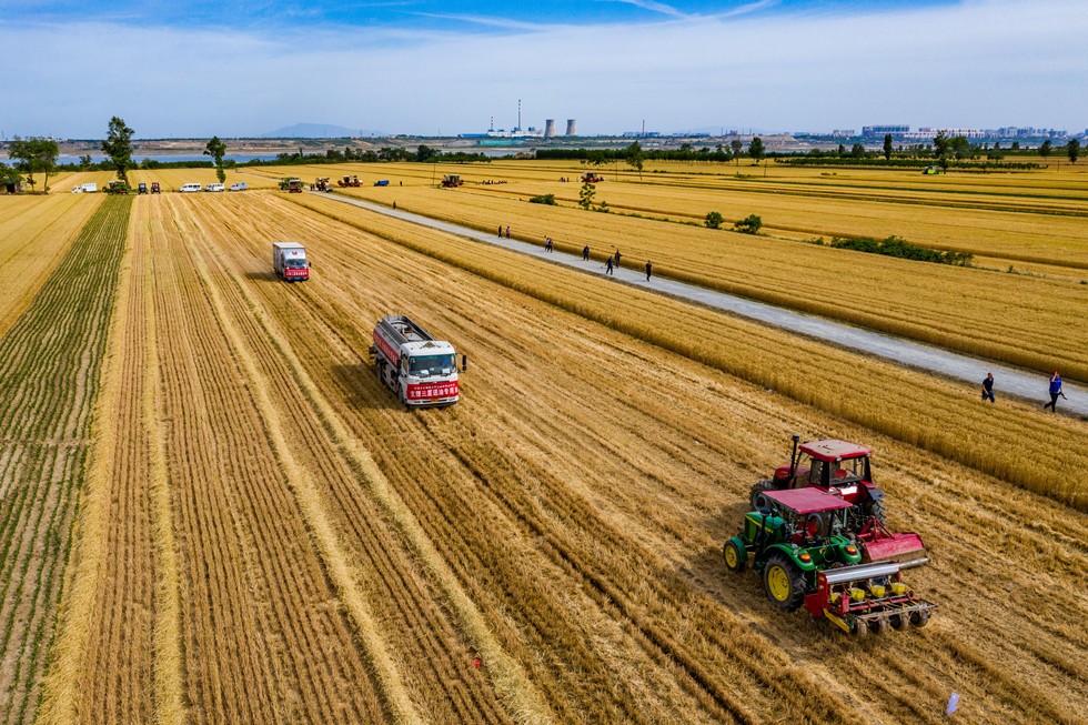 90后大学生回乡创业,靠卖东北大米,半年赚500万(卖东北大米赚钱吗)