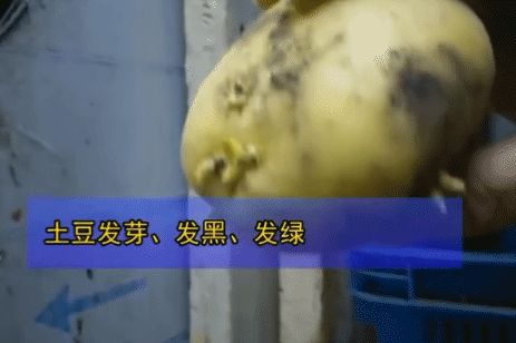 连上三年央视黑榜,一号难求!四川最没底线网红店,为何越骂越火(四川网红人员年收入多少)