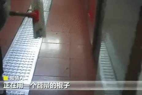 连上三年央视黑榜,一号难求!四川最没底线网红店,为何越骂越火(四川网红人员年收入多少)