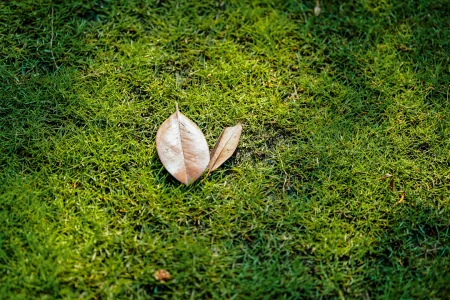知识产权环球资讯丨加多宝被判赔3亿;微软收购暴雪英美态度反转-加多宝市值多少亿