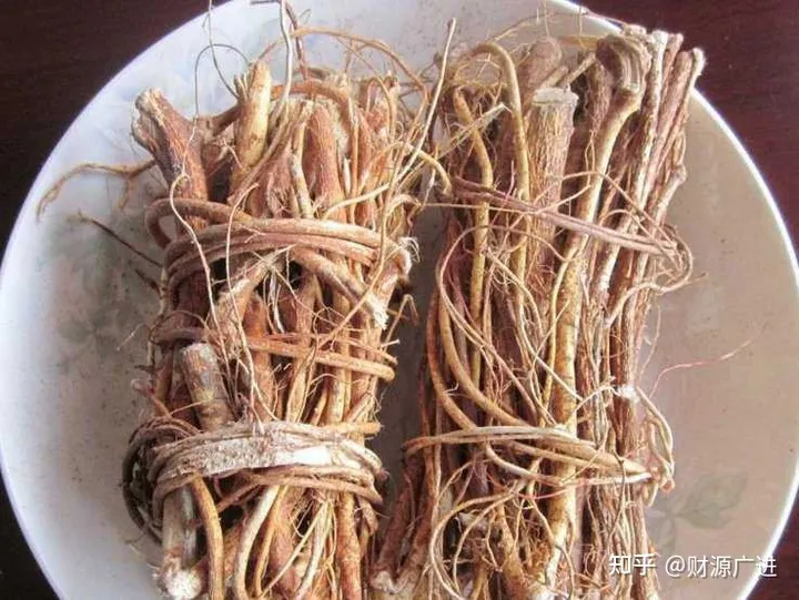 五指毛桃的作用、功效-五指毛桃的作用功效和禁忌