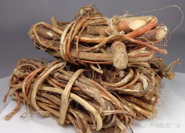 五指毛桃的作用、功效-五指毛桃的作用功效和禁忌