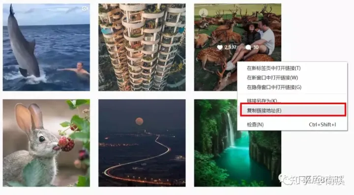 如何下载Instagram图片和视频--推荐常用的10个免费工具-如何在instagram下载图片