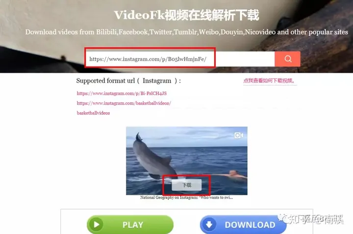如何下载Instagram图片和视频--推荐常用的10个免费工具-如何在instagram下载图片