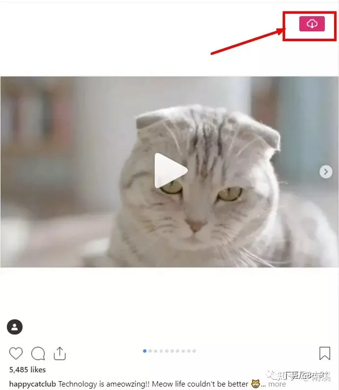 如何下载Instagram图片和视频--推荐常用的10个免费工具-如何在instagram下载图片