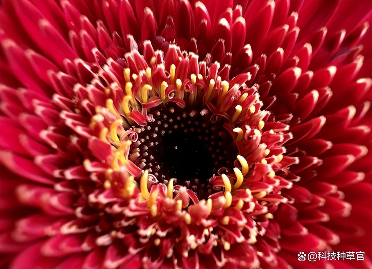 强强对决,iphone13pro和max哪个值得买,数据已解答-iphone13 pro和max选哪个