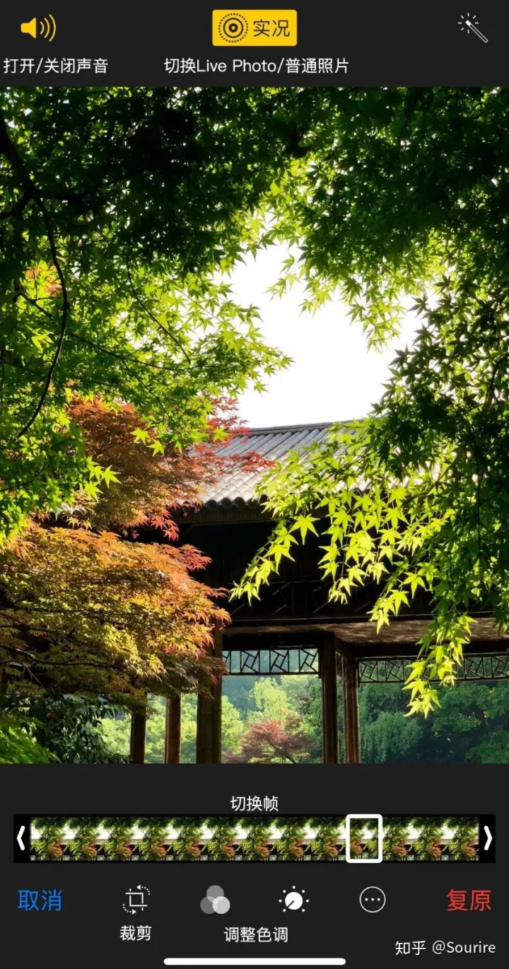 一份95%的人都不了解的iOS Live Photo使用全攻略-iphone设置live photo