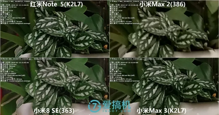 为所欲为 小米Max 3-Max 2-小米8 SE-红米Note 5拍照对比-小米max3和小米8se哪个好