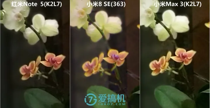 为所欲为 小米Max 3-Max 2-小米8 SE-红米Note 5拍照对比-小米max3和小米8se哪个好