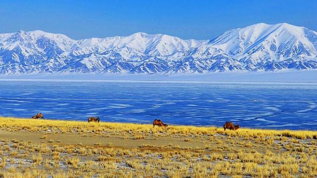 手机语音转文字怎么设置?录音转文字助手-手机上如何将语音转变为文字