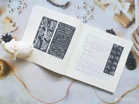 中国书法学习的入门书,书法家手把手教你避坑-书法入门基础教学