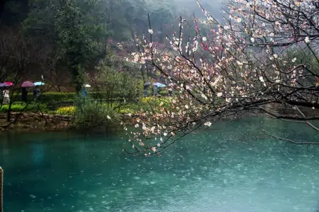 “湿气”最怕这2类菜,隔三差五吃一次,驱寒避湿,一身轻松-去湿气吃什么菜