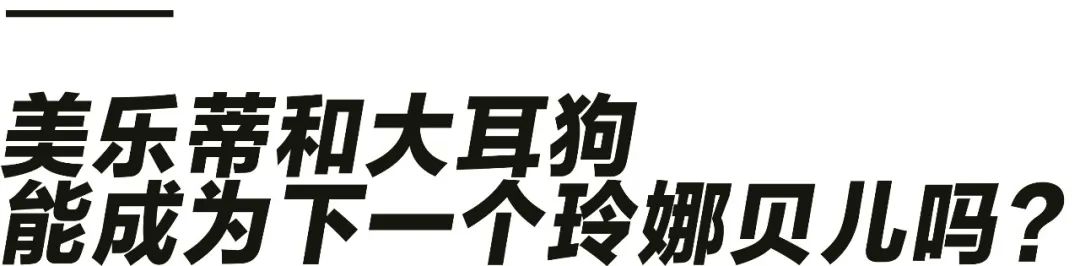 玲娜贝儿爆红阴影下,失落的Hello Kitty乐园-玲娜贝儿是哪个动画里的人物名字