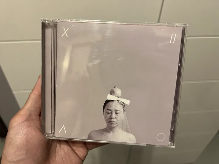 如何评价黄绮珊小霞2.0?-黄绮珊老公洪涛