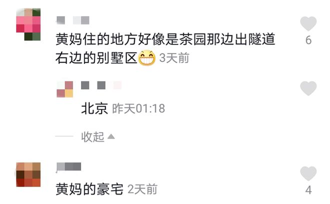 51岁黄绮珊近况曝光,离婚三次至今单身,前夫早已娶小22岁娇妻!-黄绮珊出名吗