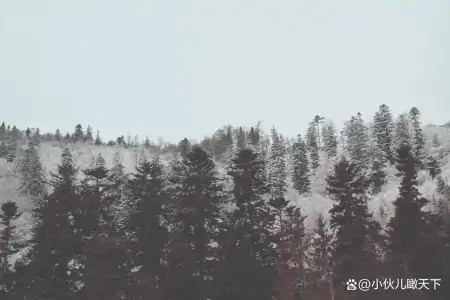 理财小贴士:如何寻找高收益储蓄账户、证券和债券-高收益银行存款产品