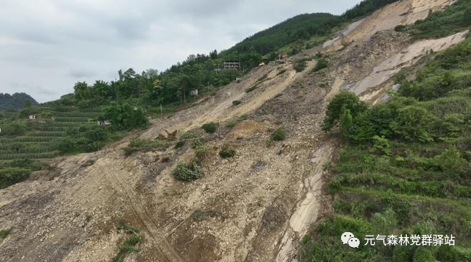 携手克时艰——元气森林党委向多地捐赠50余万元抗洪救灾物资-元气森林食品科技集团公司介绍