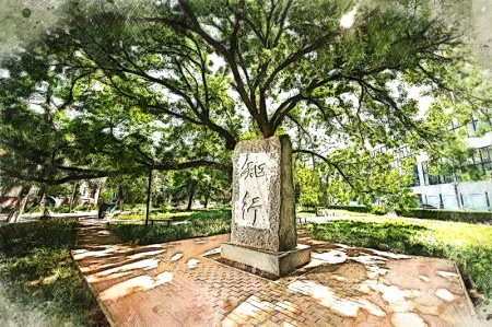 大学生成绩不好,感到迷茫怎么办?学习只能靠坚持不懈、厚积薄发-大学成绩差考研成功的概率大吗