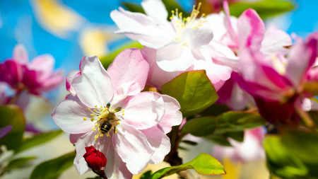 韩愈一首描写晚春的七言绝句,蕴含人生哲理,令人耳目一新-晚春韩愈的千古名句有哪些