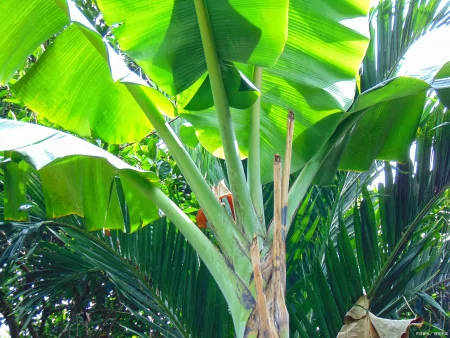 智慧人生15句,领略韩愈文学的卓越思想-韩愈的文学思想是什么时期