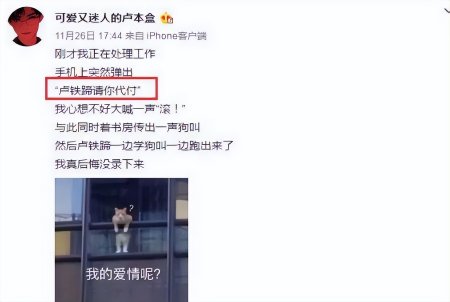 没打算结婚,10年就是玩玩?卢本伟与赵梦玥分手,网友该骂谁?-没打算结婚去男友家合适吗