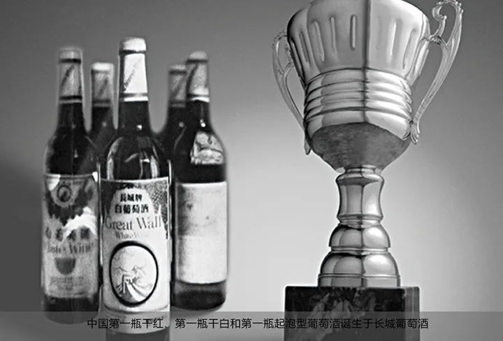 中国粮食行业的巨无霸——中粮集团-中粮集团 食品