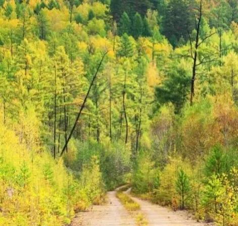 婆婆说,年前来过的客人再次出现,两天后,爹被人从山里抬回来-婆婆老说以前的时候怎么回怼那时候的男人