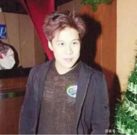 霍启刚前任现状曝光:终于明白,为啥霍启刚非郭晶晶不娶-霍启刚为什么喜欢郭晶晶怎么在一起的 新闻