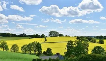 贾平凹经典语录-贾平凹精辟句子