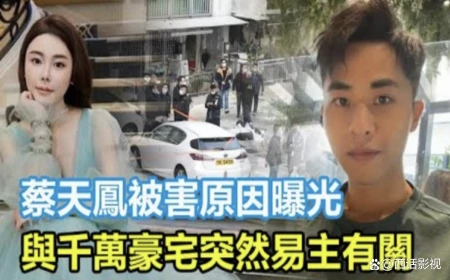 蔡天凤案第6人疑郑中基前助理,收30万协助逃离,郑中基对此回应-蔡天乐图片