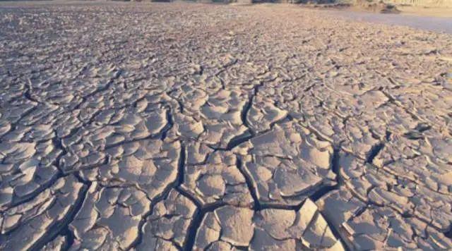 6月5日|世界环境保护日-6月5日世界环境保护日手抄报内容