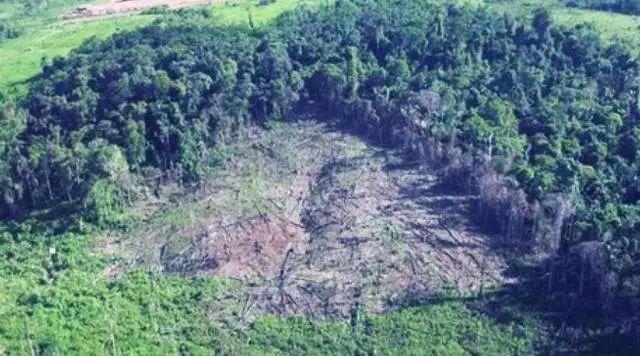 6月5日|世界环境保护日-6月5日世界环境保护日手抄报内容