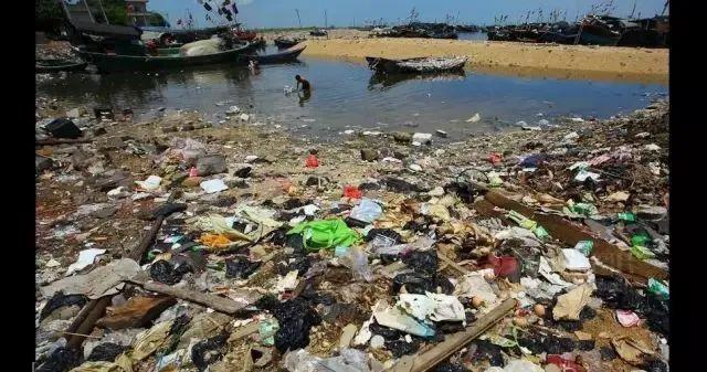 6月5日|世界环境保护日-6月5日世界环境保护日手抄报内容