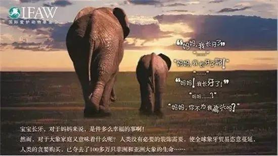 6月5日|世界环境保护日-6月5日世界环境保护日手抄报内容