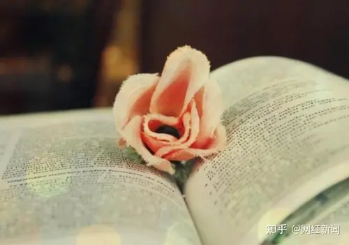 徐良吸D史被莹少爆出,朋友同事纷纷指责徐良人品极差,阴险小人-徐良被抓