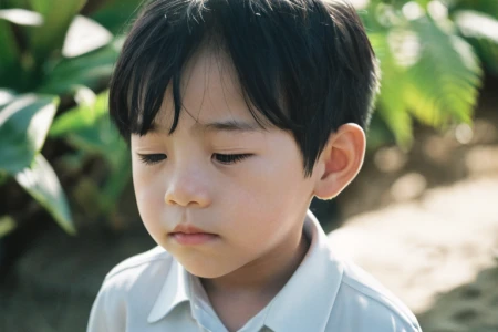 爆款!高质量书刊《影视摄影技艺》,柔软生动的描写令人叹为观止!-影视摄影技术基础知识