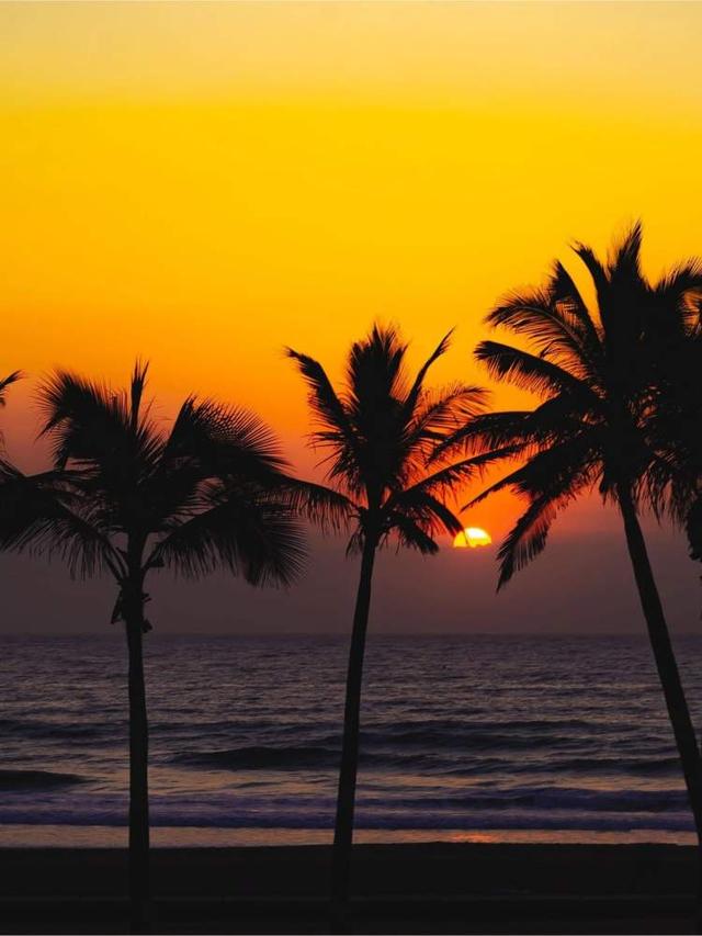 旅行重启,南非以“多元文化”欢迎国际旅行者-南非旅游现状如何