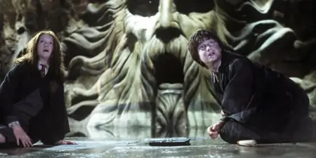 《哈利波特》:在密室里被石化的学生,最不幸的是桃金娘!-哈利波特里面的桃金娘