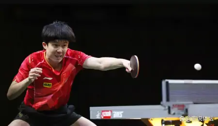 责任重大!王楚钦说使命在肩全力以赴,巴黎奥运展现中国体育力量-王楚钦是奥运冠军吗