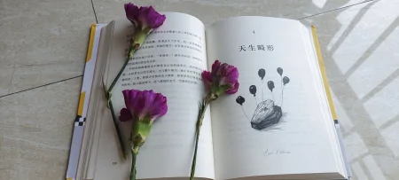 《石床垫》:看极端荒谬的故事里藏着的百态人生-石头床垫的作用与功效