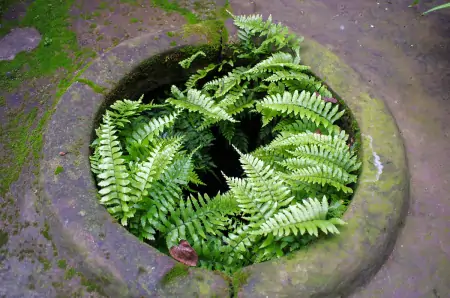 《石床垫》:看极端荒谬的故事里藏着的百态人生-石头床垫的作用与功效