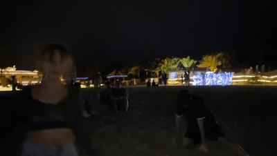 如何评价@野生珍妮?-如何评价野生珍妮