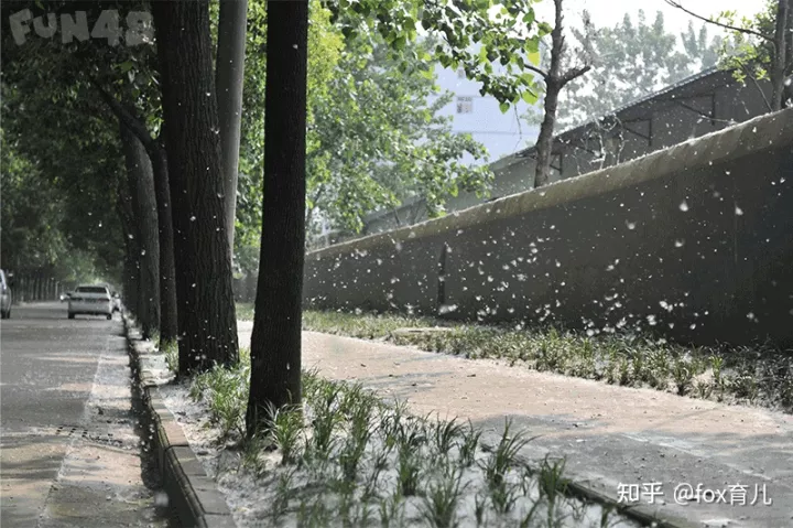 李白《黄鹤楼送孟浩然之广陵》-黄鹤楼送孟浩然之广陵 (李白)