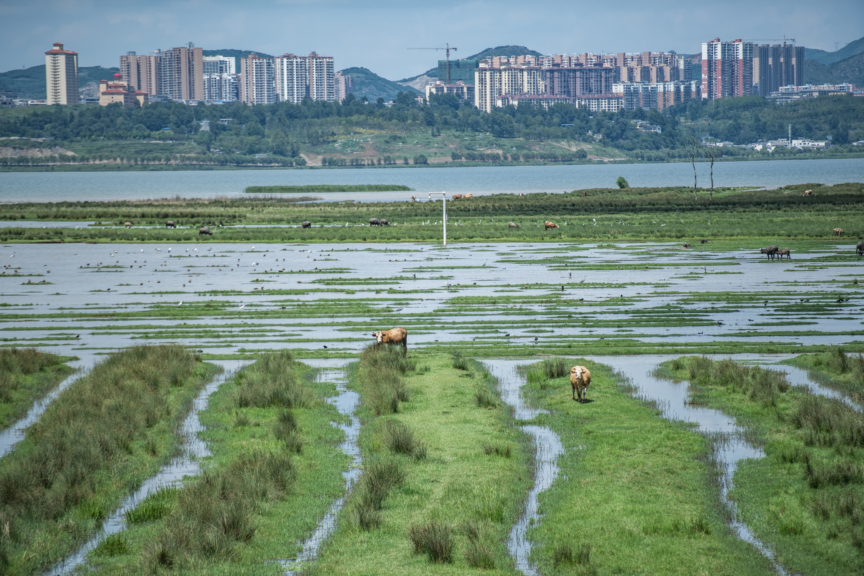 (奋斗百年路 启航新征程·巩固拓展脱贫攻坚成果·图文互动)告别苦瘠 再启新程——中国最后九个脱贫县巩固振兴周年观察-巩固拓展脱贫攻坚成果主要干什么