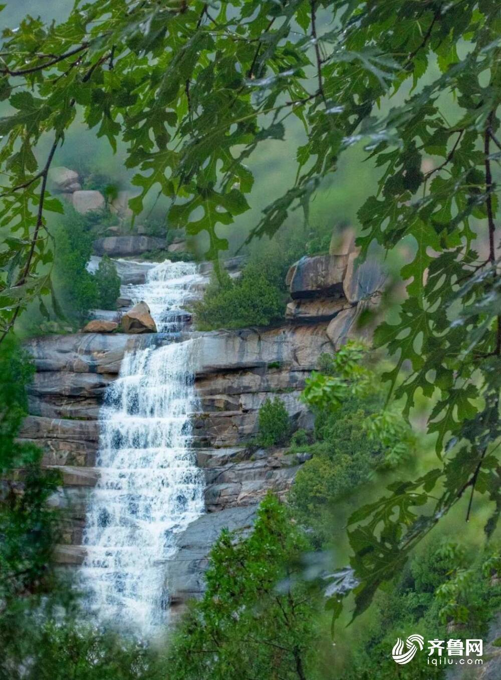 泰山飞瀑:俯注潭千尺 深藏或有龙-泰山云桥飞瀑